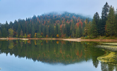 Fototapeta na wymiar landscape at the mountain lake Synevyr in autumn. Beautiful nature scenery in the morning. Synevyr national park, Ukraine