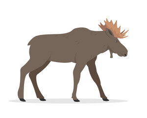 Obraz na płótnie Canvas Moose bull icon. Standing brown wild forest animal Elk with big horns. Flat vector illustration isolated on white background.