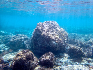 snorkeling nel mare dell'Isola delle Sirene a Taormina
