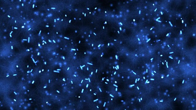 Bacteria Moving under a Microscope