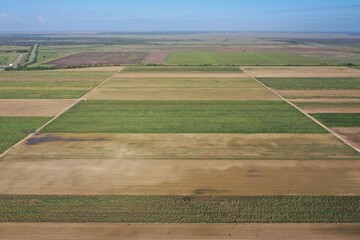 Aerial image of planted fields in Homestead, Florida agricultural area near Everglades National Park on clear sunny morning.