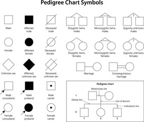 Genetic Genealogy. Pedigree Chart Symbols.