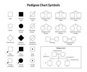 Genetic Genealogy. Pedigree Chart Symbols.