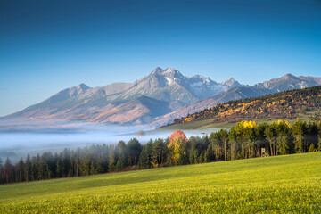 Serene Landscape of Green Field, Trees, and Mountain Range