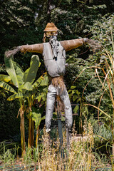 Scarecrow tirelessly stands guarding the field on a cloudy day.