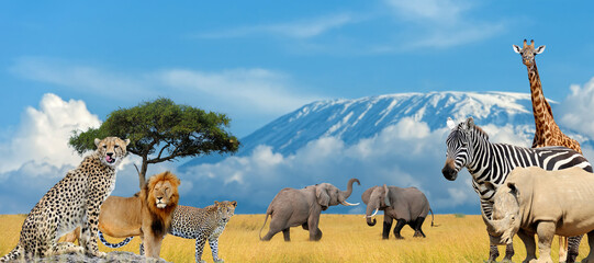 Landscape with many african animals