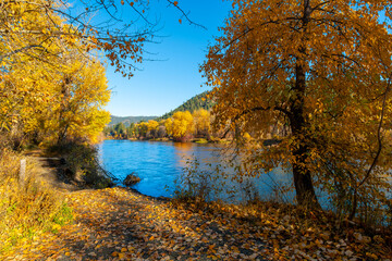 View of the Wenatchee River at autumn with fall colors on the leaves from Blackbird Island at Leavenworth, Washington, USA.	