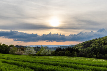 A meadow and a forest shelter hills against the backdrop of a sunset and a cloudy sky