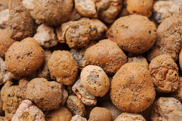 Expanded clay. small lumps of clay used in construction and for growing plants.