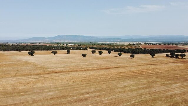 Aerial plain of yellow wheat with mountins in background summer. Toscana