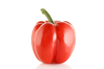 Red sweet bell pepper isolated on white background. One sweet bell pepper. Close-up