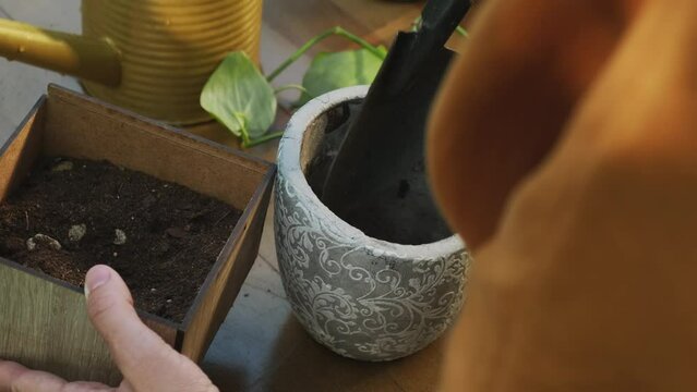 Gardening. Young woman replanting houseplant into new flowerpot in back yard garden. 