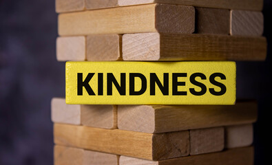 Kindness Word Written In Wooden Cube, business concept