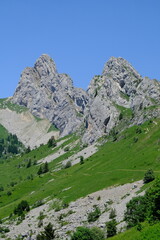 Fototapeta premium Col Vert