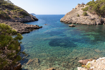 Crystal clear waters in Es Caló des Monjo, a cove in Mallorca (Balearic Islands, Spain) surrounded by pine trees, in the municipality of Calvià.