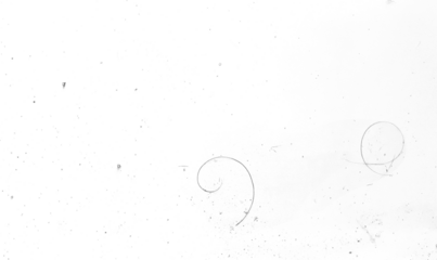 Retro dust and grain film overlay