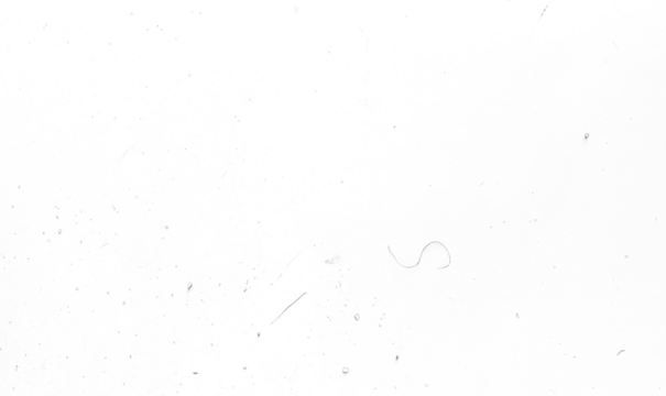 retro film grain with dust texture