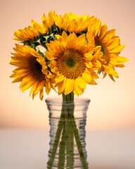 sunflowers in a vase © Matthew Crow