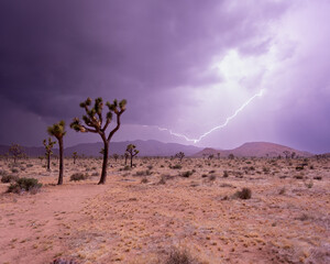 lightning in the desert