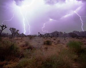 lightning in the desert