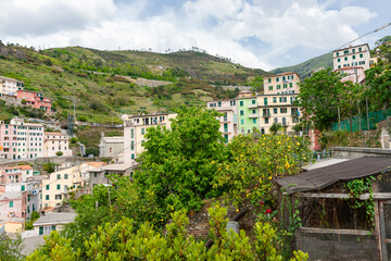 Fototapeta na wymiar Terrace houses and terraced hillsides beyond back garden in Riomaggiore