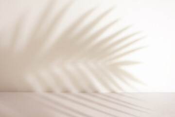 Minimalist empty room with palm leaf shadow