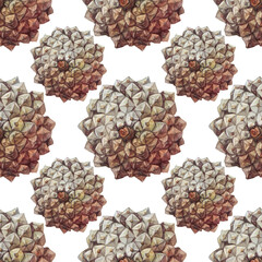 Watercolor seamless pattern hand-drawn realistic fir or pine cone on white background. Forest wallpaper for christmas celebration or invite. Nature art for card or textile. Wrapping or sketchbook