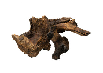 Artistic tree root ornament isolated