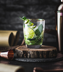 Mojito cocktail with ice