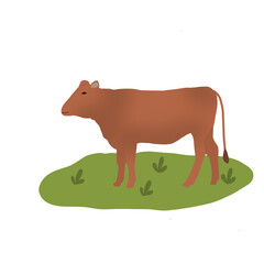 cow on a grass