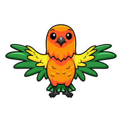 Cute sun conure parrot cartoon flying