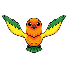 Cute sun conure parrot cartoon flying