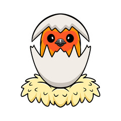 Cute sun conure parrot cartoon inside from egg