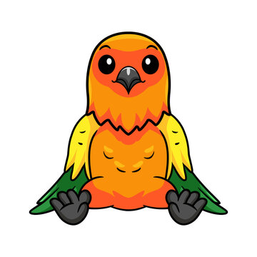 Cute sun conure parrot cartoon