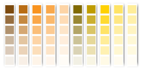 Orange color palette. Orange, brown tone. Vector illustration. stock image.