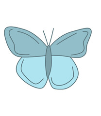 blue butterfly