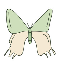 light green butterfly