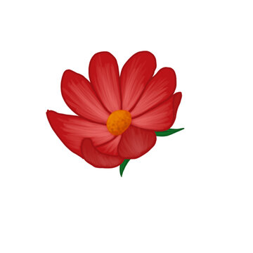 Red Flower