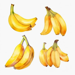 Watercolor banana image/illustration.