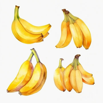 Watercolor banana image/illustration.