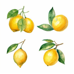 Watercolor painting of a lemon.