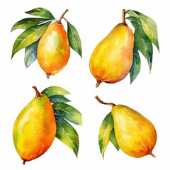 Watercolor image capturing a juicy mango.