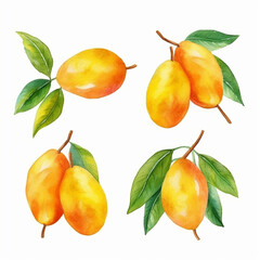 Watercolor mango illustration with vibrant hues.