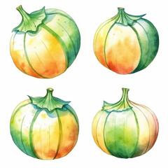 Melon in a watercolor illustration.