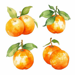 Watercolor orange illustration with vibrant hues.