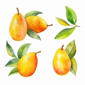 Mango in a vibrant tropical watercolor.