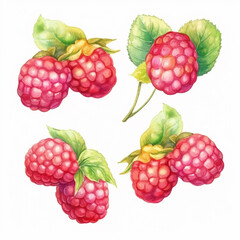 Delicate watercolor portrayal of a ripe raspberry.