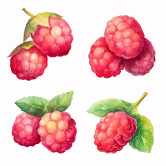 Stunning watercolor image of a fresh raspberry.