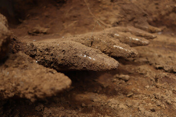 Excavation soil