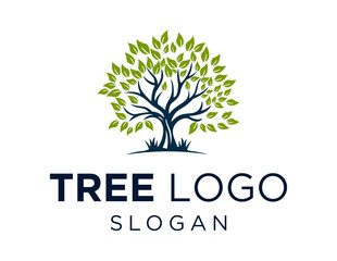 Obraz premium Logo design about Tree on a white background. made using the CorelDraw application.